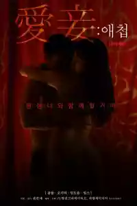 Jaquette du film 애첩