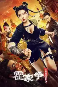 Jaquette du film 霍家拳之铁臂娇娃3