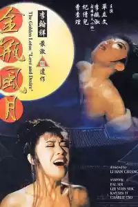 Jaquette du film 金瓶風月