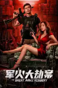 Jaquette du film 军火大劫案