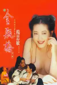 Jaquette du film 新金瓶梅 第一集