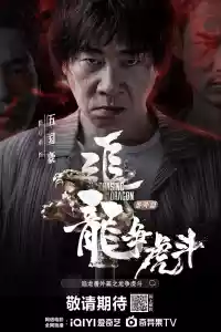 Jaquette du film 追龙番外篇之龙争虎斗