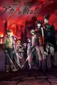 Jaquette du film Akame ga Kill!