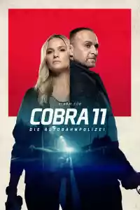 Jaquette du film Alerte Cobra