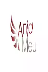 Jaquette du film Anjo Meu