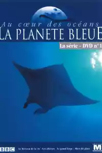 Jaquette du film Au coeur des océans - La Planète bleue