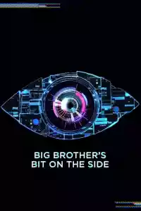 Jaquette du film Big Brother's Bit on the Side