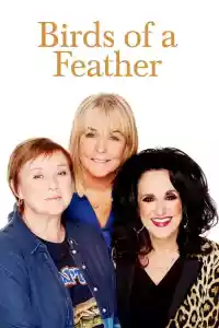 Jaquette du film Birds of a Feather