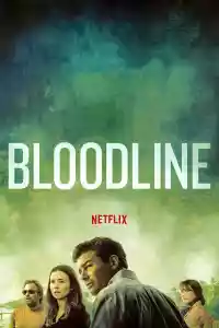 Jaquette du film Bloodline