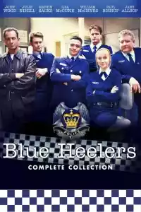 Jaquette du film Blue Heelers