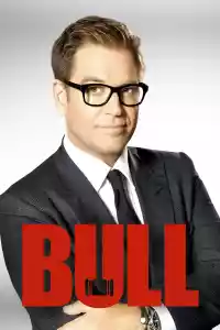 Jaquette du film Bull