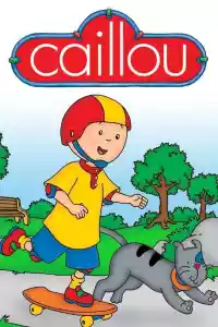 Jaquette du film Caillou