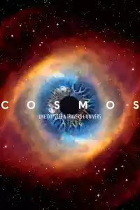 Jaquette du film Cosmos : Une odyssée à travers l'univers