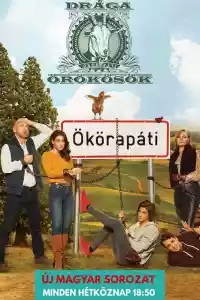 Jaquette du film Drága örökösök