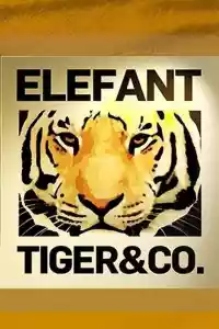 Jaquette du film Elefant, Tiger & Co.