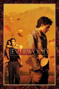 Jaquette du film Everwood