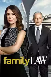 Jaquette du film Family Law