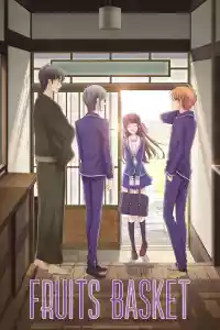 Jaquette du film Fruits Basket