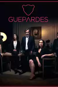 Jaquette du film Guépardes