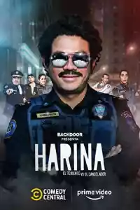 Jaquette du film Harina