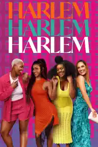 Jaquette du film Harlem