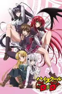 Jaquette du film High School DxD