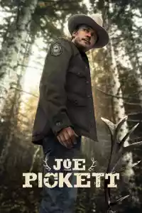 Jaquette du film Joe Pickett