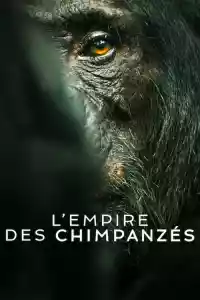 Jaquette du film L'Empire des chimpanzés