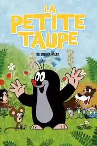 Jaquette du film La Petite Taupe