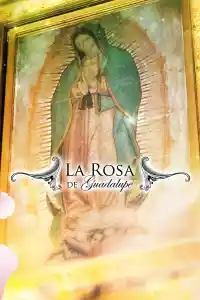 Jaquette du film La rosa de Guadalupe