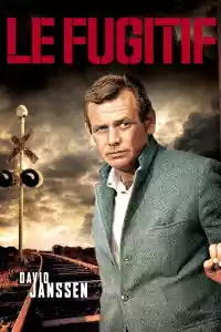 Jaquette du film Le Fugitif