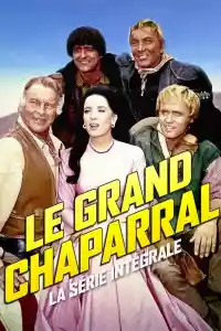 Jaquette du film Le grand chaparral