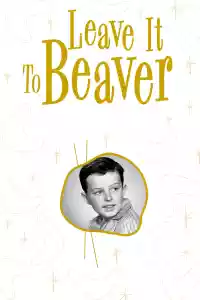 Jaquette du film Leave It to Beaver