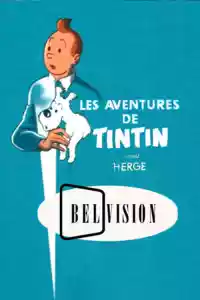 Jaquette du film Les Aventures de Tintin, d'après Hergé