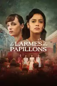 Jaquette du film Les Larmes des papillons