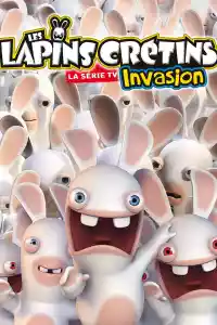 Jaquette du film Les lapins crétins