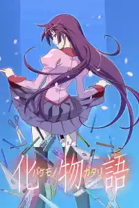 Jaquette du film Monogatari