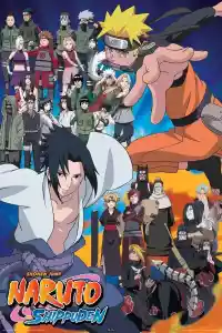 Jaquette du film Naruto Shippuden