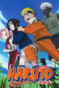 Jaquette du film Naruto