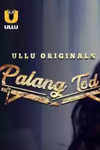 Jaquette du film Palang Tod