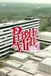 Jaquette du film Pebble Mill at One