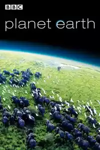 Jaquette du film Planète Terre