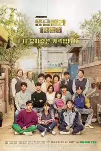 Jaquette du film Reply 1988