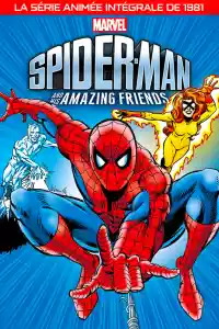 Jaquette du film Spider-Man et Ses Amis Extraordinaires