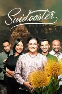 Jaquette du film Suidooster