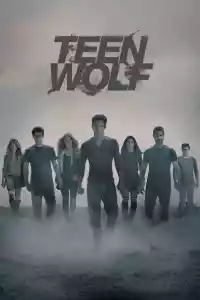 Jaquette du film Teen Wolf