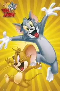 Jaquette du film The Tom et Jerry Show