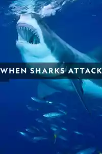 Jaquette du film When Sharks Attack