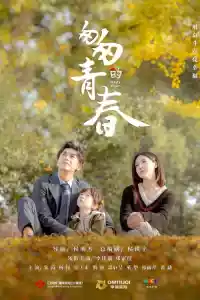 Jaquette du film 匆匆的青春