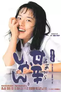 Jaquette du film 甘辛しゃん